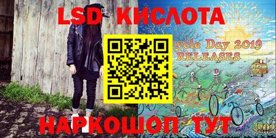 крисы Кулебаки