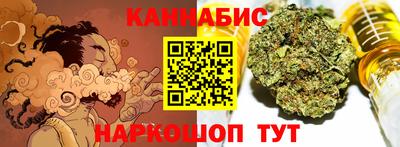 крисы Кулебаки