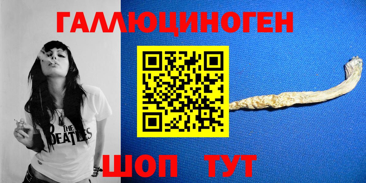 Киров  Псилоцибиновые грибы GOLDEN TEACHER  Вход с VPN 
